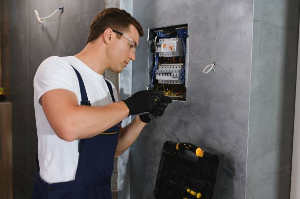 Best Electric Panel Repair  in Vermilion, OH
